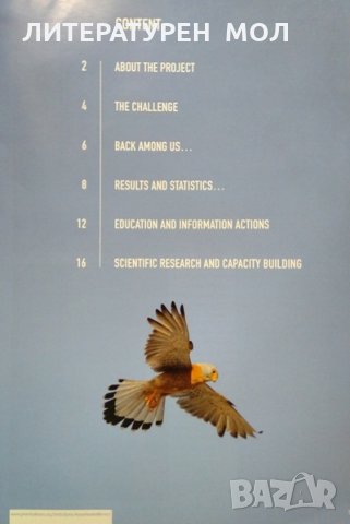 Възстановяване на белошипата ветрушка: Обобщен отчет, снимка 5 - Други - 30109115