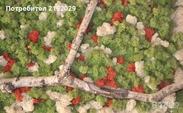 ПАНО СЪС СКАНДИНАВСКИ МЪХ, снимка 3 - Пана - 51337984