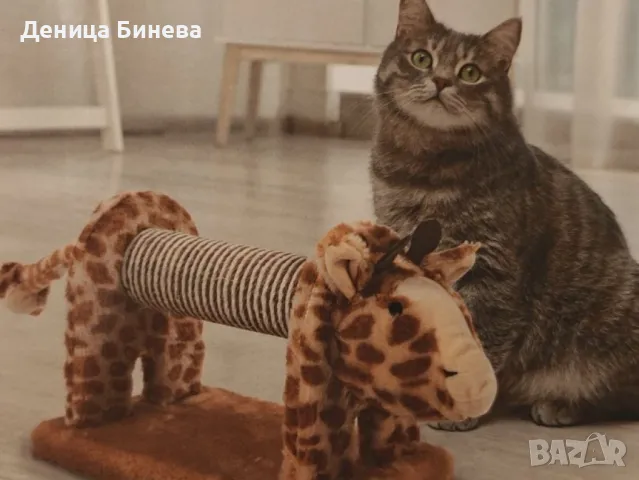 Драскалка за котка във формата на жираф