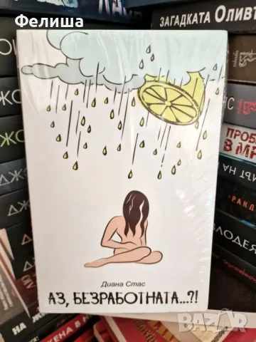 Аз, безработната...?! Диана Стас, снимка 1