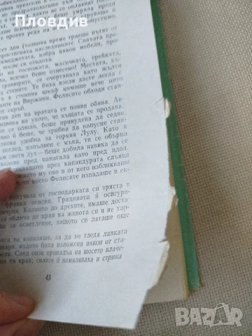 Гюстав Флобер , Чисто сърце, снимка 5 - Художествена литература - 50771584