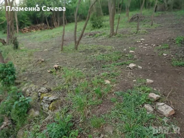 Парцел, село Шемшево, снимка 2 - Парцели - 56423893