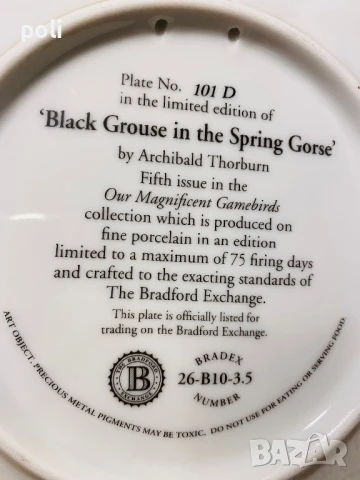 порцеланова чиния за стена 4 , снимка 3 - Декорация за дома - 51370113