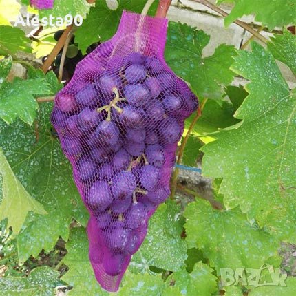 Мрежа за грозде, снимка 3 - Градински инструменти - 37823599