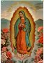 Lady of Guadalupe Метална Табела, снимка 1 - Колекции - 38914239
