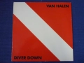 грамофонни плочи Van Halen, снимка 16