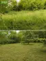 Почистване Дърводобив и Др, снимка 10