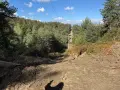Земеделска земя , снимка 6