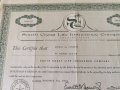 Сертификат за притежание на 26 акции (САЩ) | South Coast Life Insurance | 1963г., снимка 2
