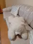 ПЛЮШЕНА ИГРАЧКА ГОЛЯМА МЕЧКА, снимка 8