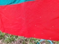 Старо българско знаме - Соц., снимка 3
