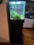 подарявам аквариум, снимка 3