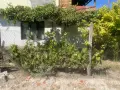 Вила  в местността Чашката , снимка 2