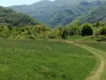 продавам два имота в село Лакатник , снимка 16