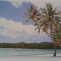 Колекция от 2 принта с палми върху канава, снимка 6 - Картини - 44302573