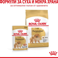 Royal Canin -POMERANIAN ADULT суха храна за померани в зряла възраст, снимка 3 - Померан - 44580261