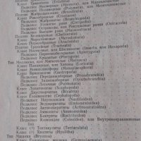 Палеонтология - Друщиц В.В., Обручева О.П., снимка 5 - Учебници, учебни тетрадки - 39079516