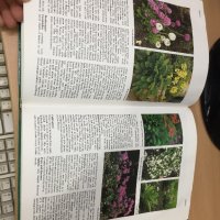 Цветна Енциклопедия - A-Z of perennials -Successful Gardening, снимка 13 - Енциклопедии, справочници - 30873235