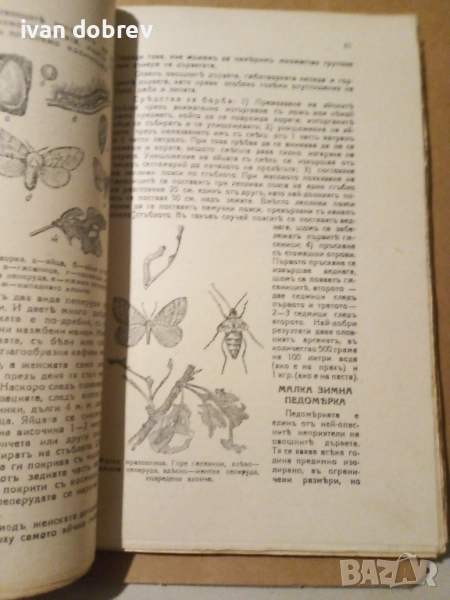 Болести и неприятели 1942г. Гр.Гомонъ, снимка 1