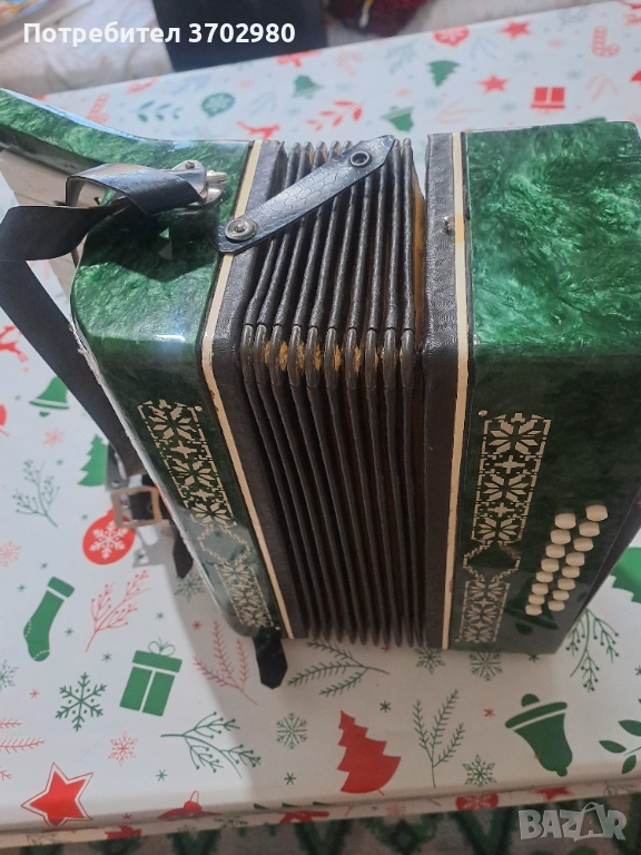 Акордион, снимка 1