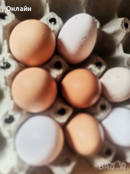 Домашни яйца Благоевград , снимка 1