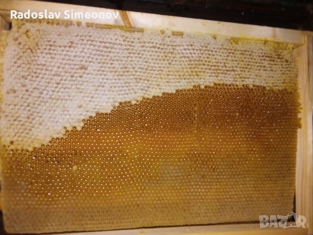 Изградени пчелни пити, снимка 4 - За пчели - 24401317