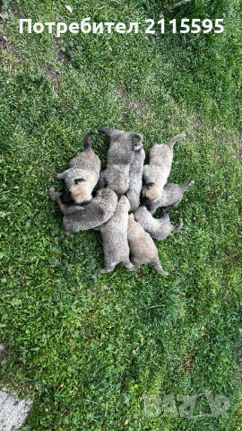 Продавам кангали