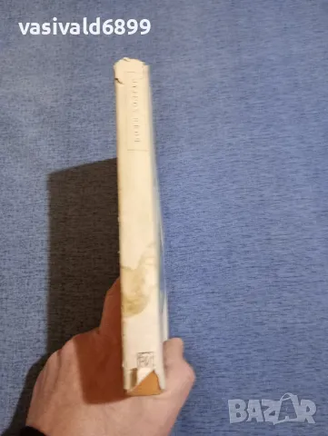 Боян Болгар - Четвърто пътуване с Диоген , снимка 2 - Българска литература - 48276520