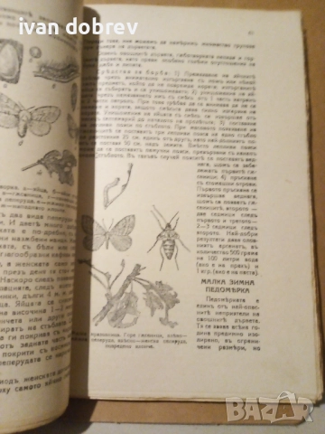 Болести и неприятели 1942г. Гр.Гомонъ