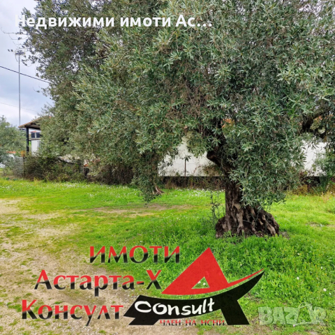 Астарта-Х Консулт продава парцел във Вурвуру Халкидики Ситония Гърция , снимка 2 - Парцели - 44735049