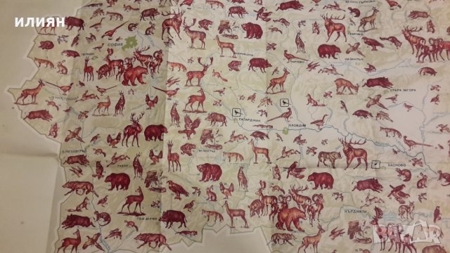 Карта на животните във България , снимка 3 - Енциклопедии, справочници - 31483482