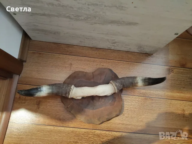 Рога закачалка за стена 