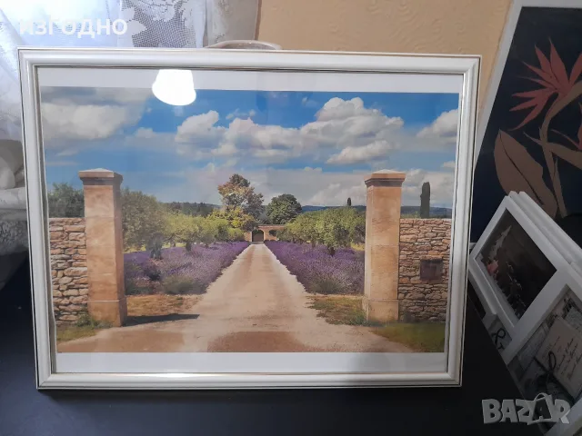 20€ ДВЕ НОВИ КАРТИНИ  