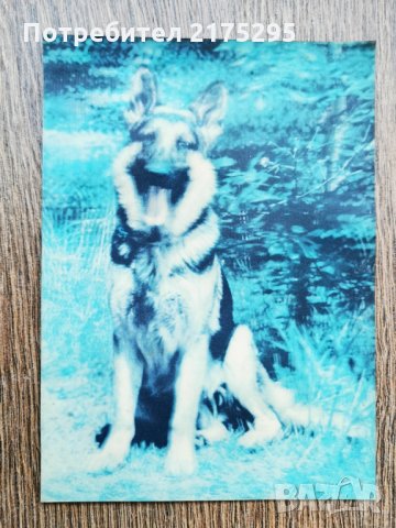 Стерео картички 3 бр., снимка 2 - Антикварни и старинни предмети - 32173579