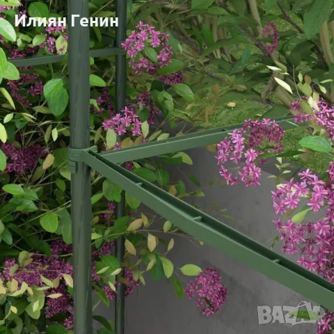 Комплект опори за растения, снимка 9 - Градински цветя и растения - 47777863