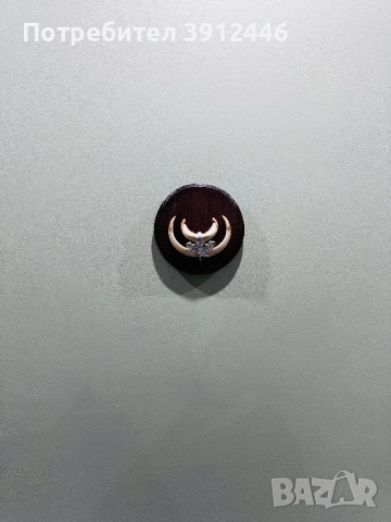 Трофейни зъби от глиган , снимка 5 - Други стоки за животни - 52885096