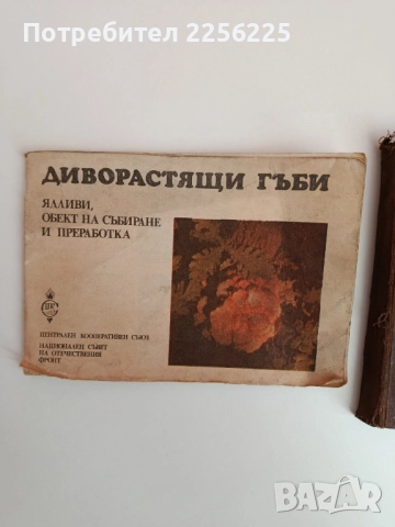ЛОТ Гъбарство, снимка 6 - Специализирана литература - 51794307