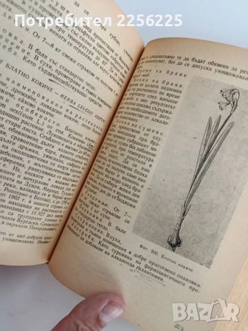 Ръководство по билкосъбиране, снимка 2 - Специализирана литература - 53878244