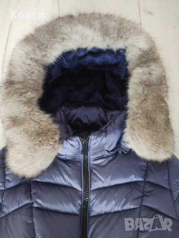 Дамско яке, снимка 3 - Якета - 53119559