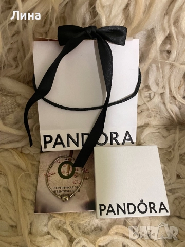 Сребърна гривна Пандора 