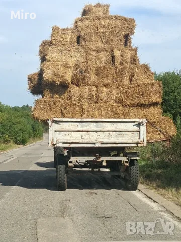 Малки Бали слама, снимка 3 - За селскостопански - 56413947