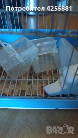 Клетка за папагал , снимка 6 - За птици - 47480579