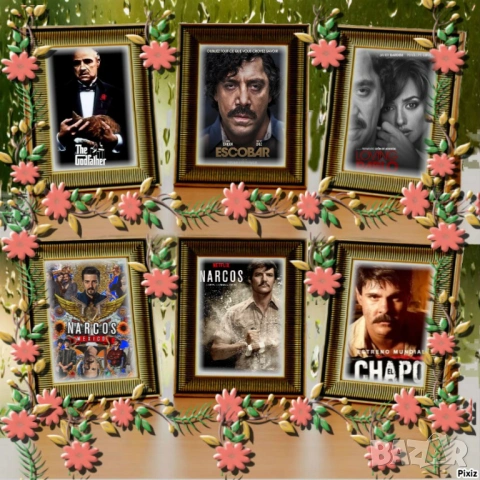 НАРКОБАРОНИТЕ Филмотека  (на флашка или диск)