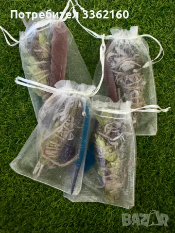 Комплект Лъвска грива (Hericium erinaceus), снимка 2 - Други - 41117629