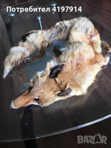 Лисича кожа, снимка 3 - Други - 51591625