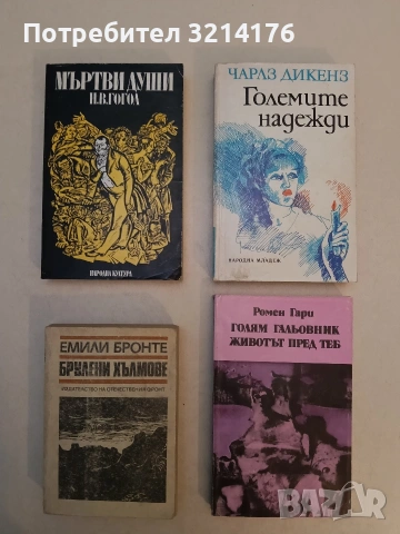 Брулени хълмове - Емили Бронте