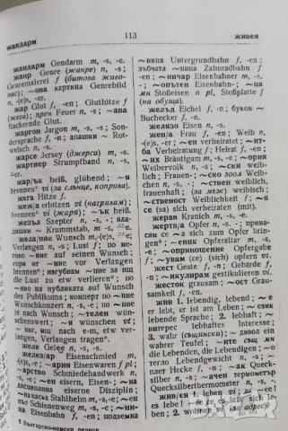 Кратък българско-немски речник, снимка 2 - Чуждоезиково обучение, речници - 31795933