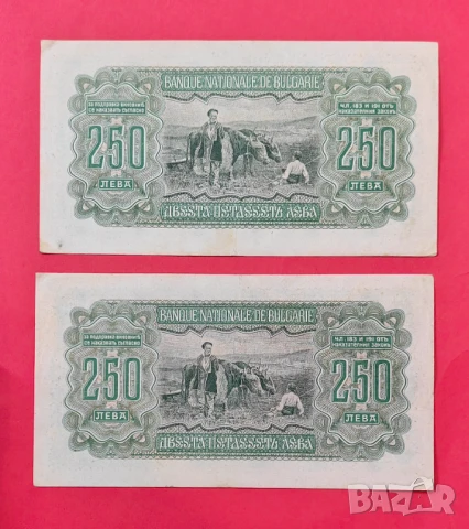250 лева 1943 Серия А - 2 броя с поредни номера XF, снимка 2 - Нумизматика и бонистика - 51049229