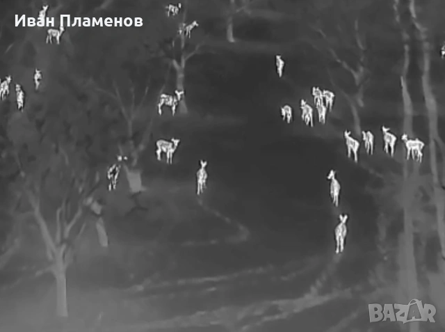 Услуги с термален термо дрон за нощно виждане ФЕЦ SAR Издирване на Хора Засичане Спасяване, снимка 9 - Други услуги - 53813380