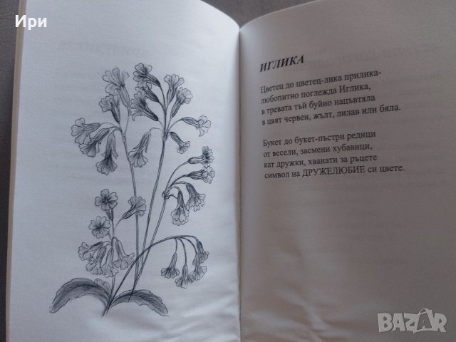 С обич към цветята, снимка 5 - Художествена литература - 42210911